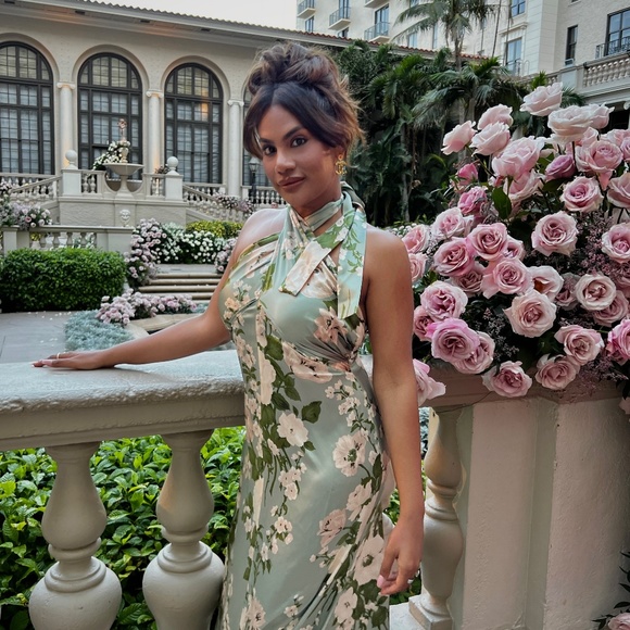 Reformation Gown - Picture 1 of 2